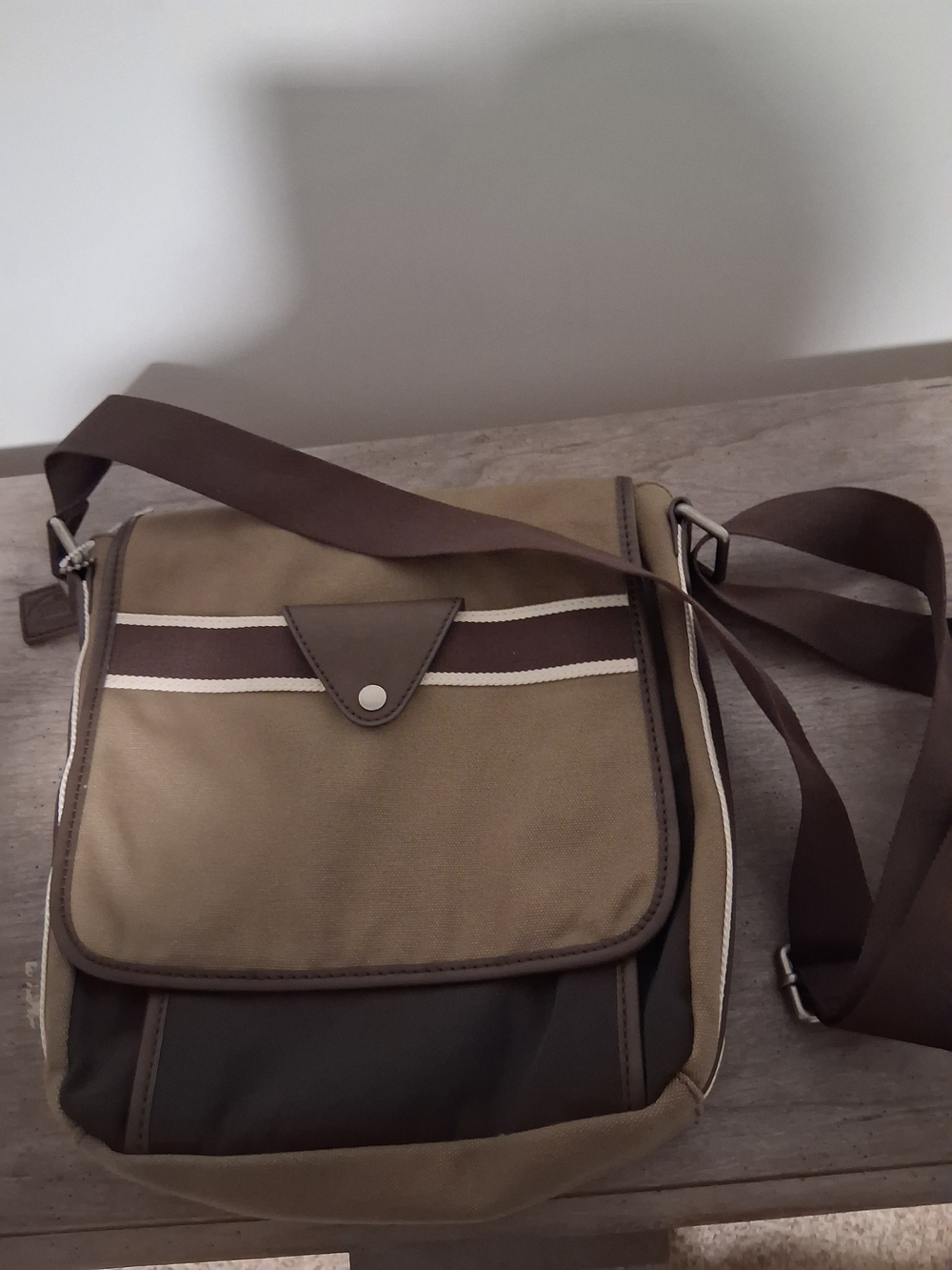 Fossil Olive and Dark Brown Canvas Messenger Bag